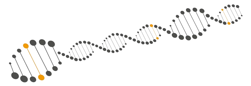 Genome